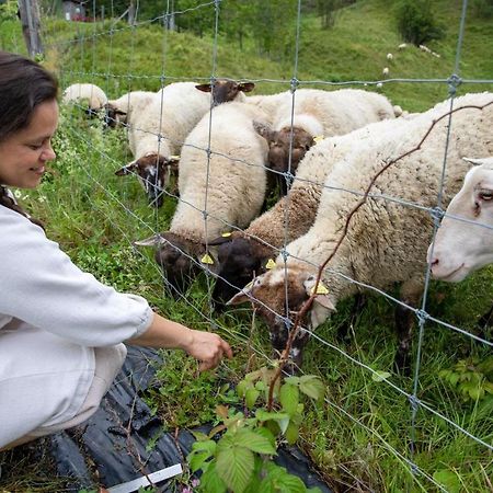 La Vieille Ferme, Ecogite Saint-Fulgence المظهر الخارجي الصورة