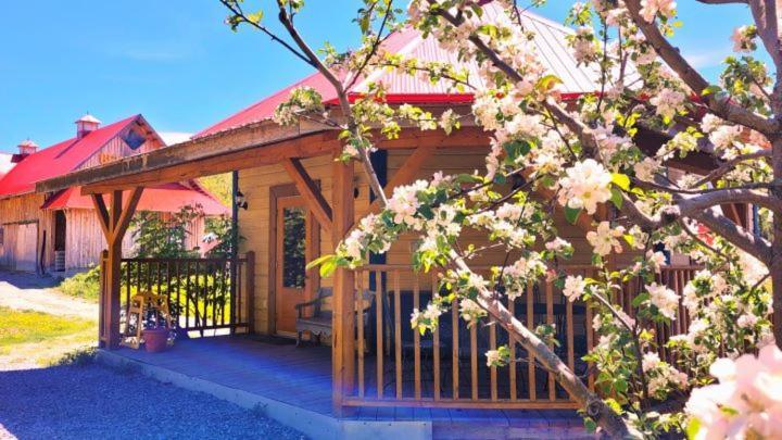 La Vieille Ferme, Ecogite Saint-Fulgence المظهر الخارجي الصورة