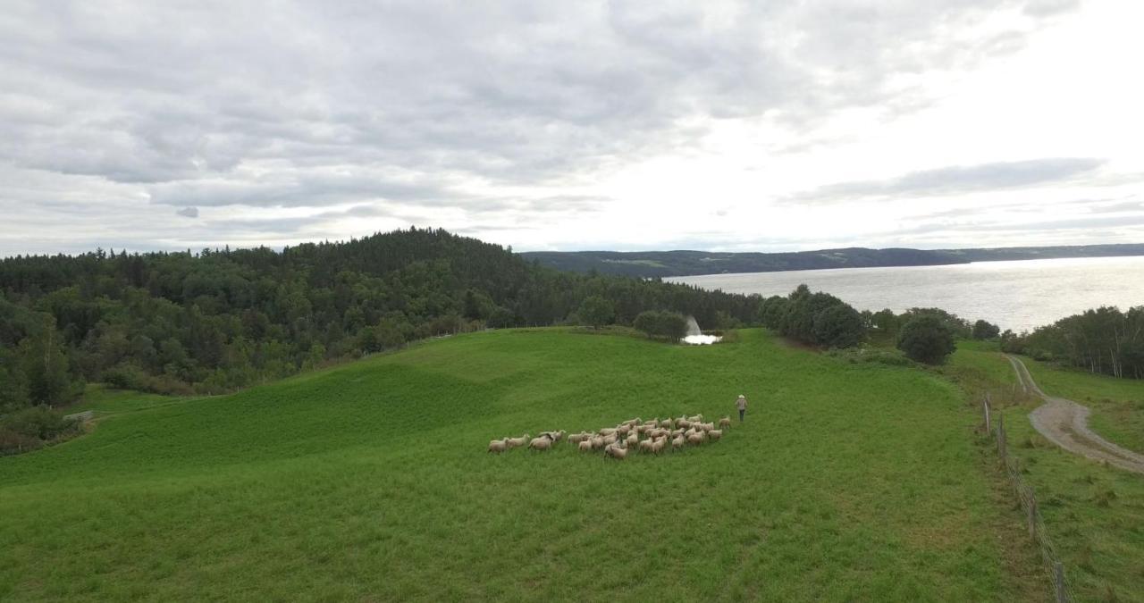 La Vieille Ferme, Ecogite Saint-Fulgence المظهر الخارجي الصورة