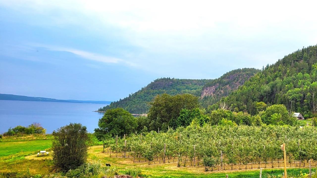 La Vieille Ferme, Ecogite Saint-Fulgence المظهر الخارجي الصورة