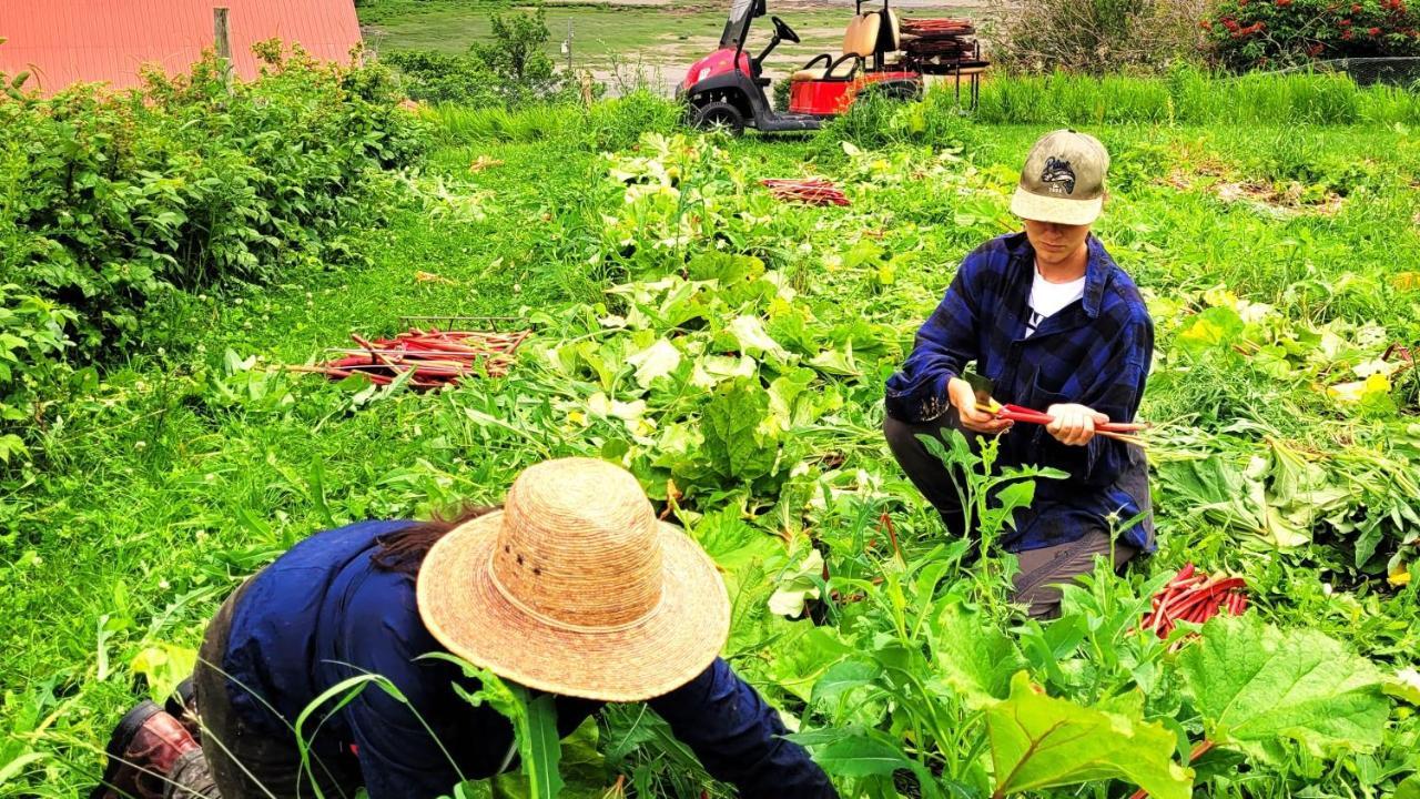 La Vieille Ferme, Ecogite Saint-Fulgence المظهر الخارجي الصورة