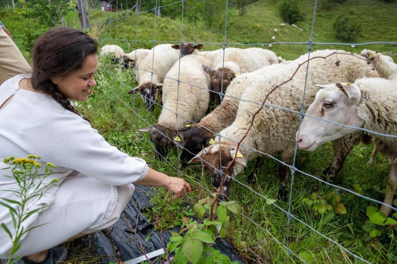 La Vieille Ferme, Ecogite Saint-Fulgence المظهر الخارجي الصورة