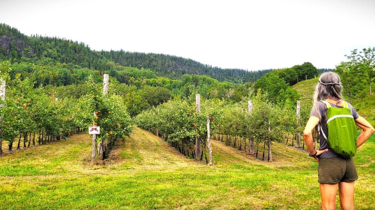 La Vieille Ferme, Ecogite Saint-Fulgence المظهر الخارجي الصورة