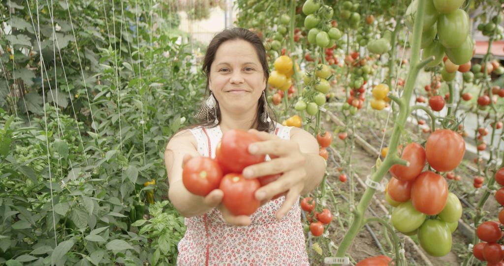 La Vieille Ferme, Ecogite Saint-Fulgence المظهر الخارجي الصورة