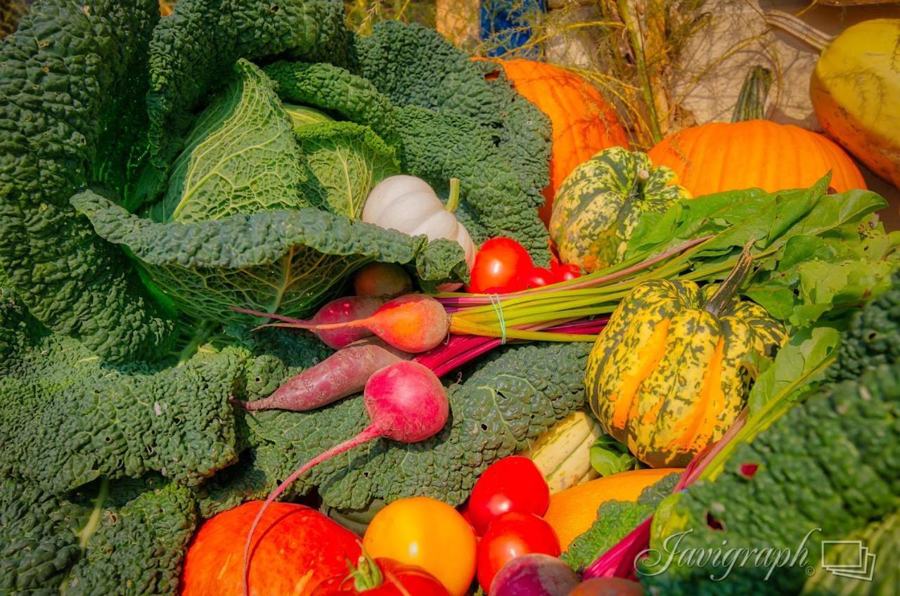 La Vieille Ferme, Ecogite Saint-Fulgence المظهر الخارجي الصورة